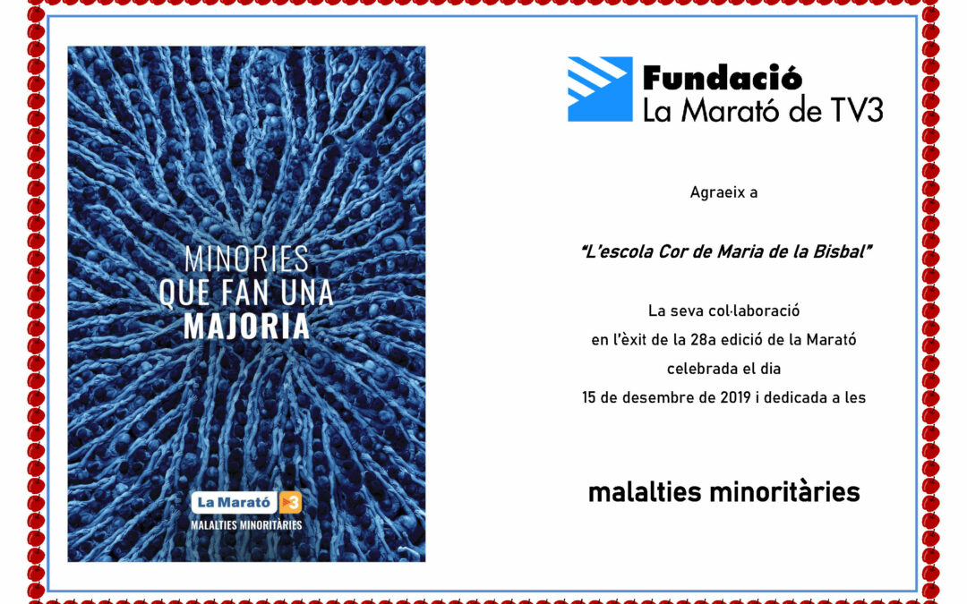 LA MARATÓ DE TV3 – 2019